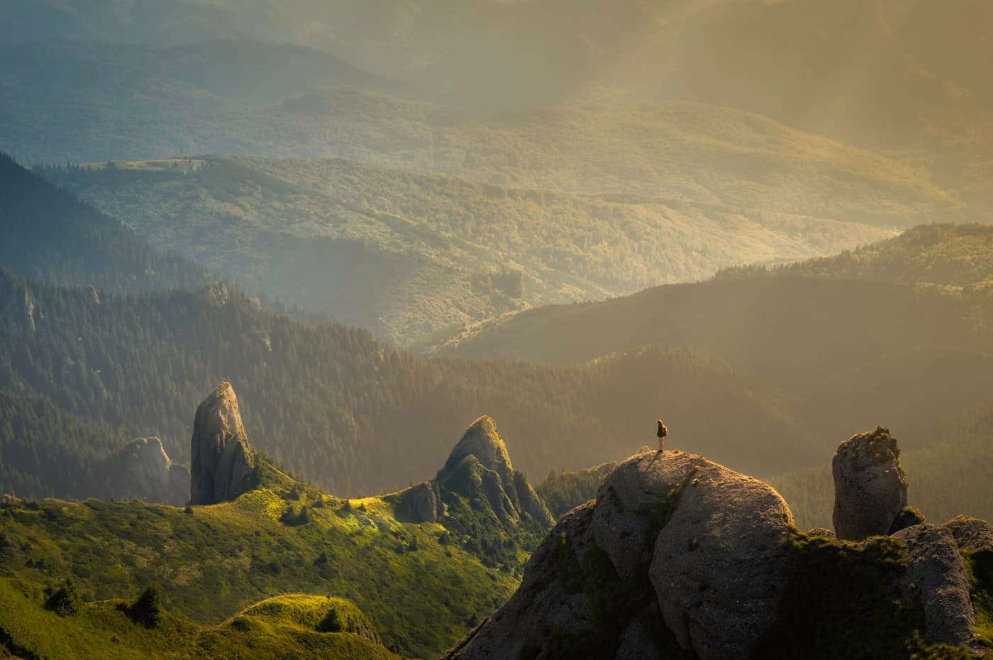 Landscape at golden hour